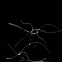Reconstruction II