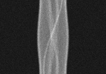 Measurement I