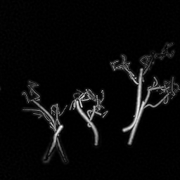 Reconstruction II